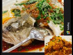 -永記粤菜·五指毛桃花雕鸡煲(九亭店)