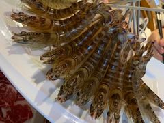 斑节虾-红门金汤·港式火锅(英皇集团中心店)