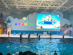 -蓬莱欧乐堡海洋极地世界