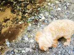 -龙门涧景区