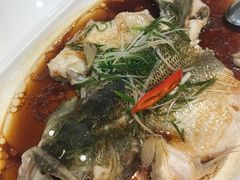 -至潮餐厅精致粤菜·活鲈鱼·走地鸡(珠江新城店)