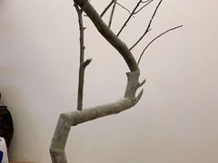 -喜茶(广州天汇igc店)