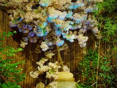 -花亭(仲盛世界商城店)