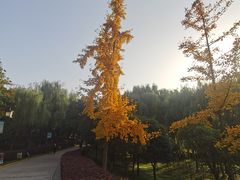 -西安汉城湖景区