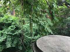 -长春观