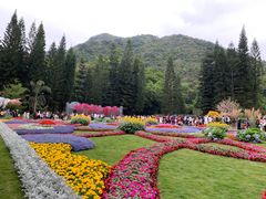 -深圳仙湖植物园