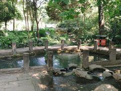 -成都市活水公园