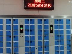 -福建省奥林匹克体育中心游泳馆