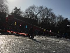 -紫竹院公园冰场