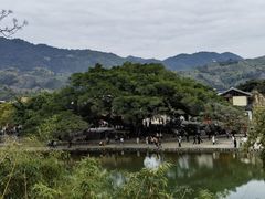 -福建土楼(南靖)景区