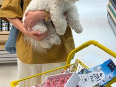 -帕帕拉兹宠物(亚洲旗舰店)