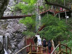 -牛背梁国家森林公园
