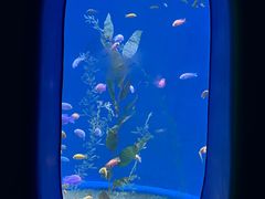 -欢乐海岸海洋奇梦馆