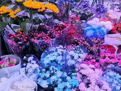 -花鸟鱼虫鲜花绿植市场(玉泉路店)