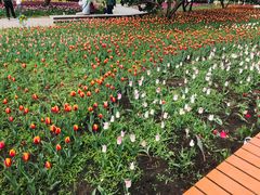 -长春公园(普阳街道)