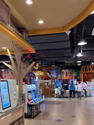 -卡通尼·Safari非洲探索乐园·生日会(金桥国际商业广场店)