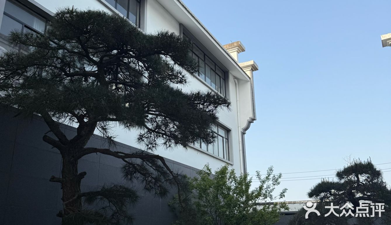 东阳!找到了一处藏匿在市井的宝藏庭院