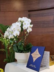 -洁铭新加坡医美