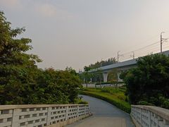 -宝安西湾红树林湿地公园