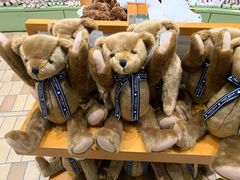 -济州岛泰迪熊博物馆