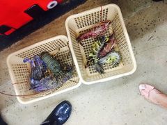 -班赞海鲜市场