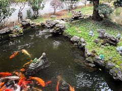 -北园酒家(小北路店)