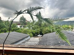 -宴武夷·匠心闽味(印象大红袍店)