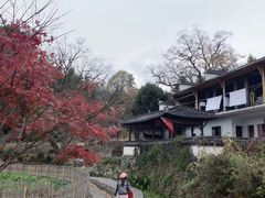 -塔川景区