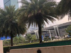 -深圳星河丽思卡尔顿酒店