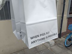 -WHEN PIGS FLY当猪飞