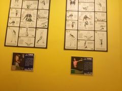 -力美健(中华店)