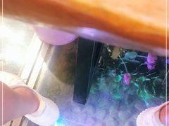 -印象江南(东栅店)