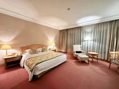 -南京维景国际大酒店(南京博物院店)