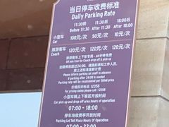 -迪士尼乐园停车场