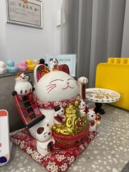 -世田造型