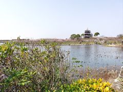 -上海海湾国家森林公园