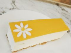 -Madeleine玛德琳(永平里店)