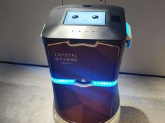 -成都宽窄巷子桔子水晶酒店