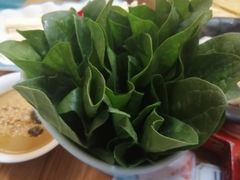 -青瓷火锅料理(西单大悦城店)