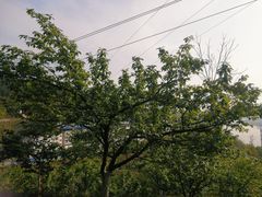 -广元千佛崖