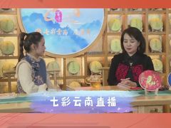 -七彩云南茶(七彩云南第壹城店)