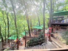 -巴倒烫陆派火锅山庄(南山总店)