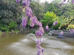 -郑和公园