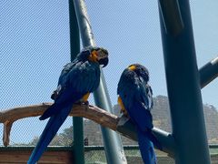 -西霞口神雕山野生动物世界