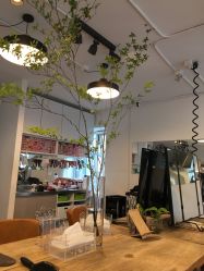 大厅-净漪造型 PURE RIPPLE