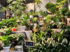 -循礼门鲜花花市(武汉循礼门店)