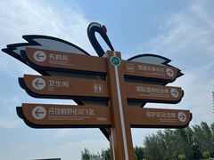 -黑龙江扎龙生态旅游区