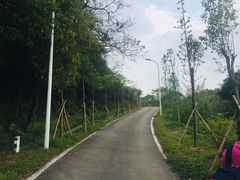 -天鹿湖森林公园