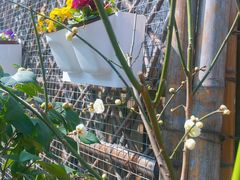 -兴福老面馆(寺路街店)