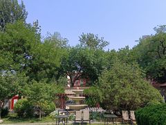 -静园(和平区)